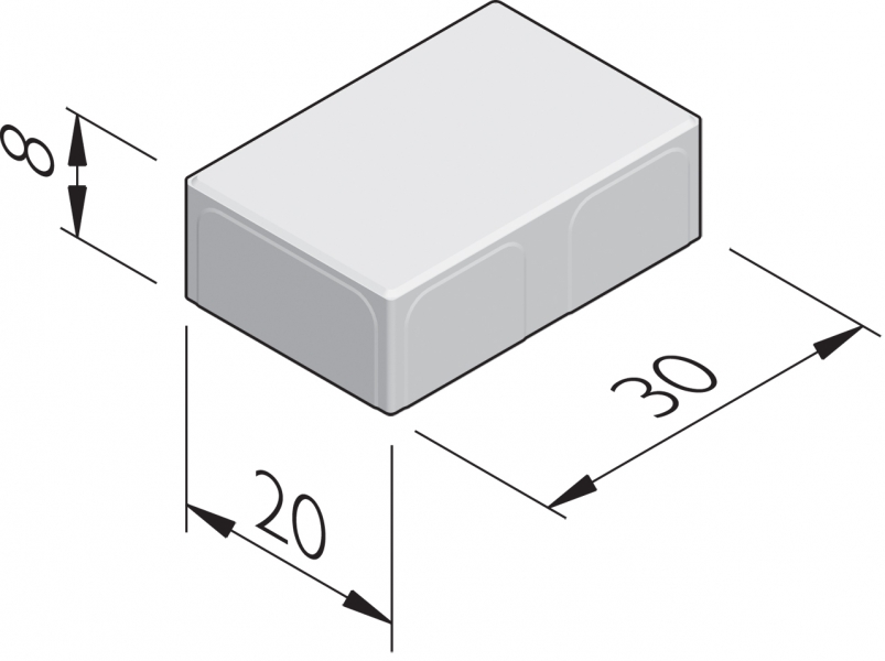 Pavés poreux 30x20